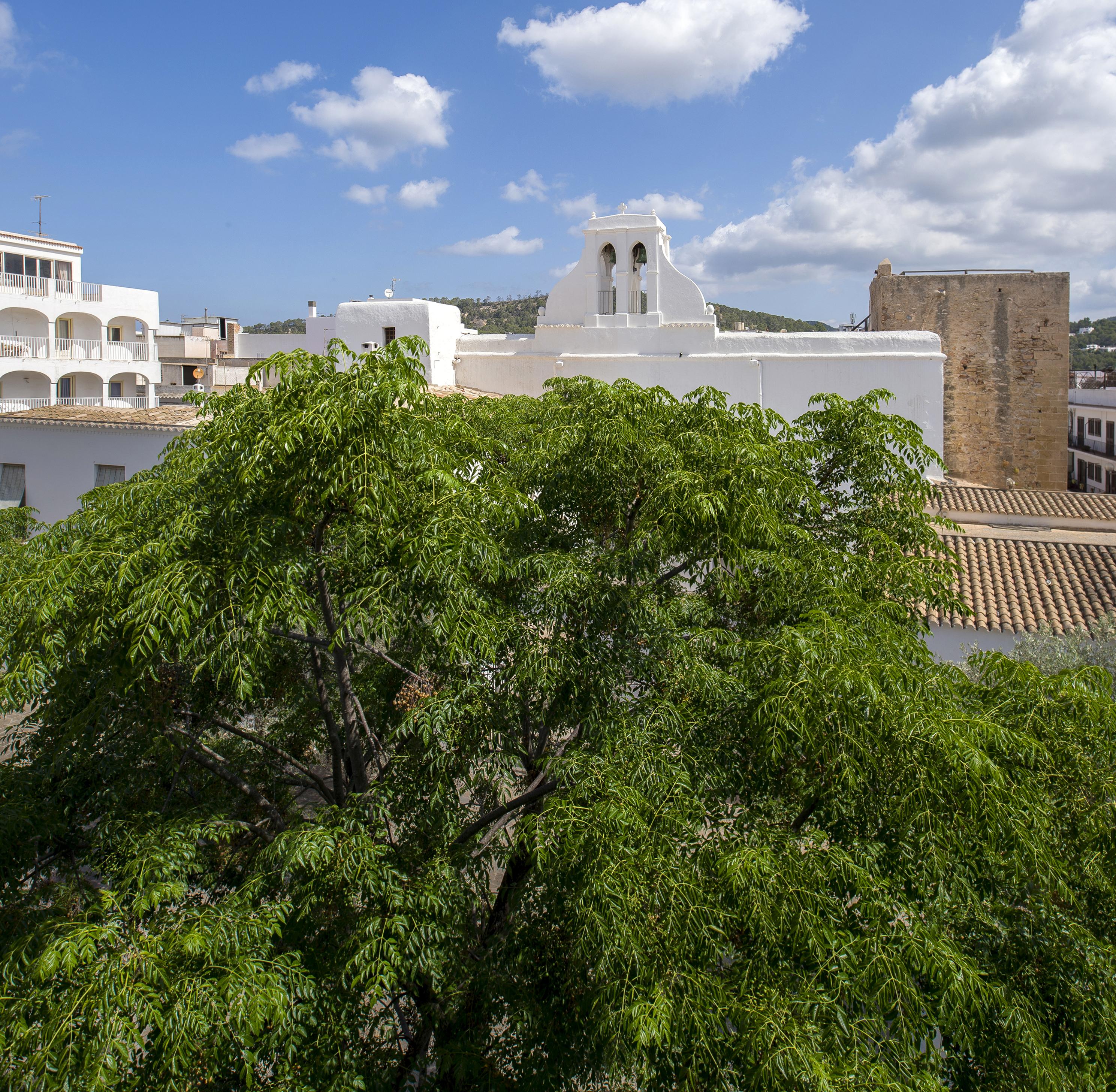 Apartamentos Tramuntana San Antonio Abad Exterior foto